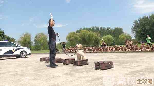 反恐精英手游到底哪个更合适我这种菜鸟？说说体验
